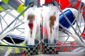 Speed Racer
